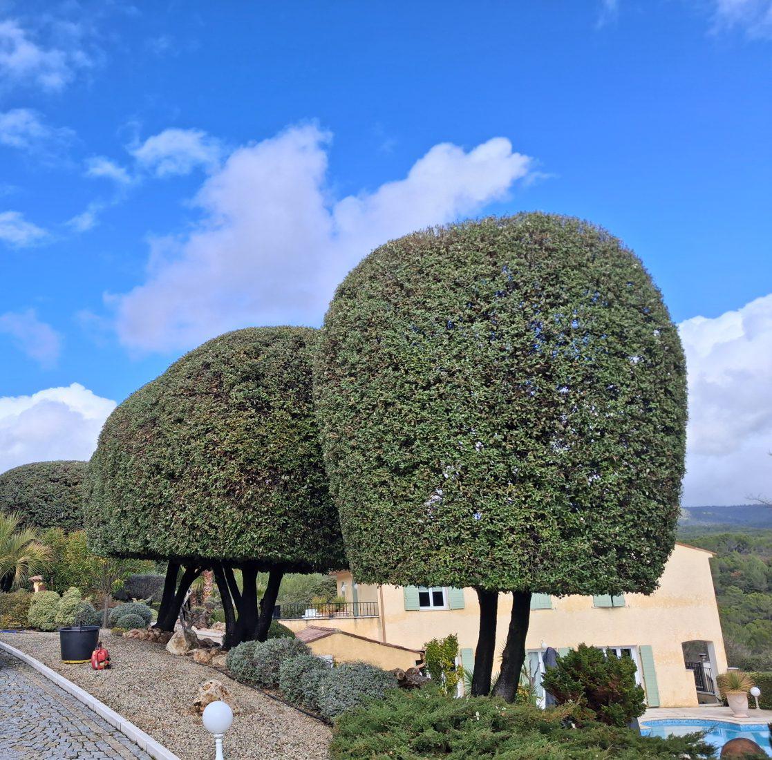 Entretien de jardin