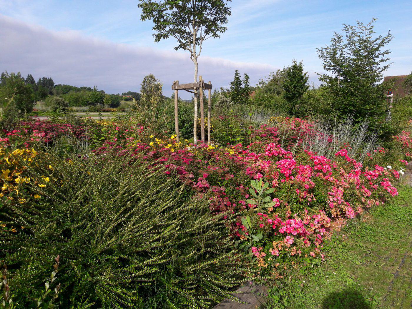 Création de jardin