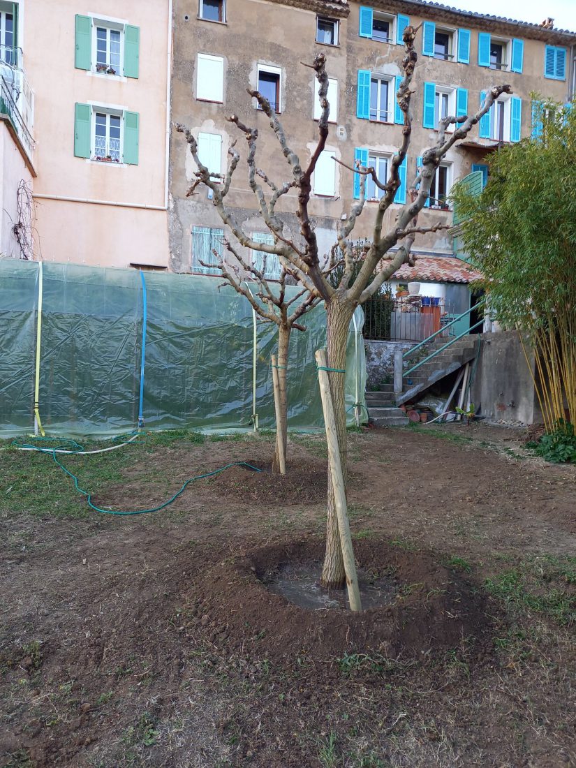 Créations de jardins — photo 8