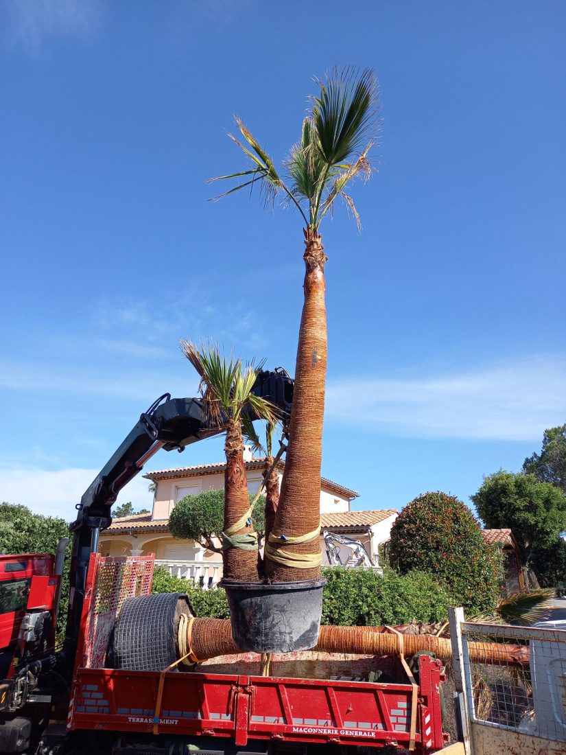 Créations de jardins — photo 13
