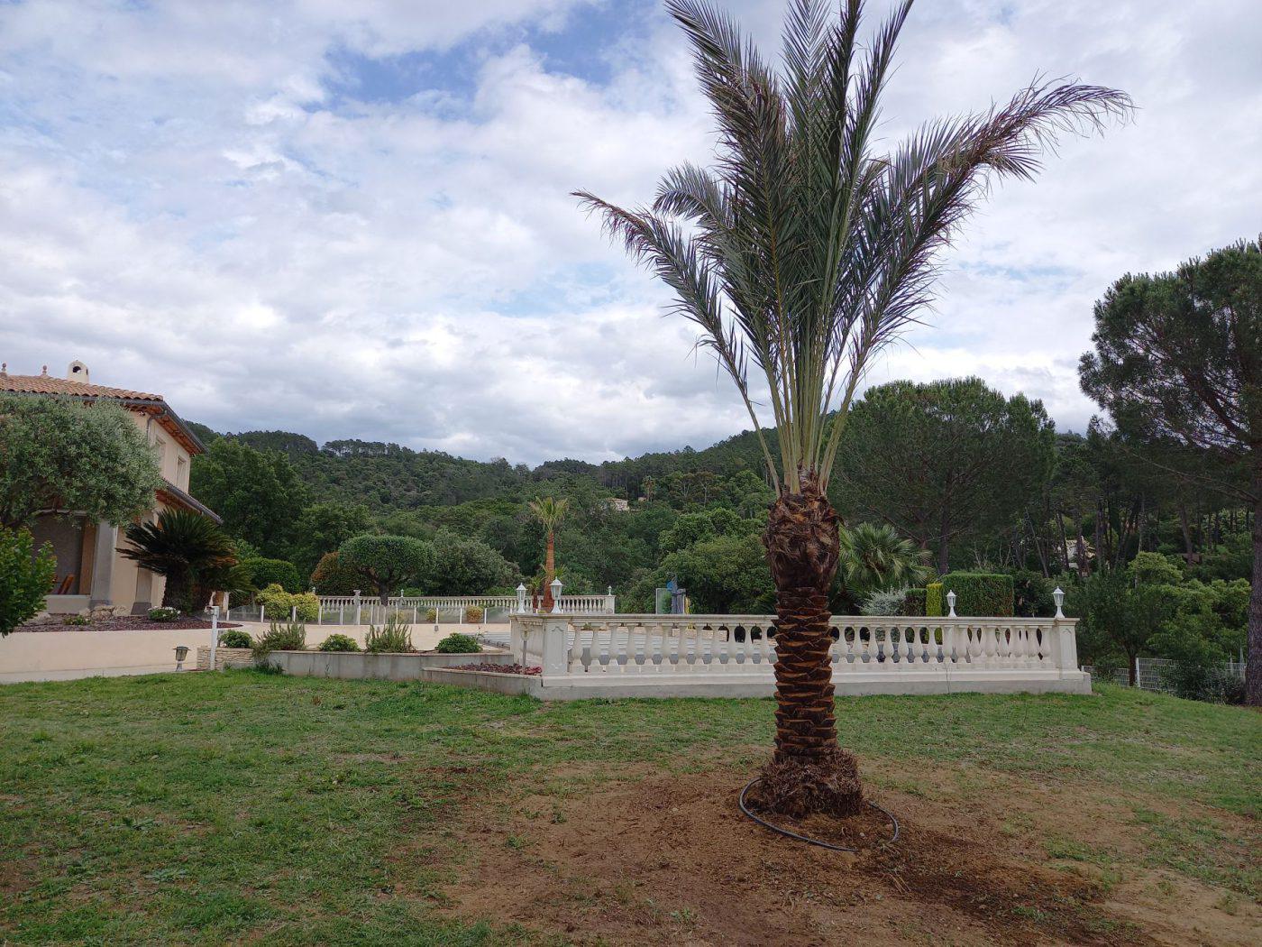 Créations de jardins — photo 16