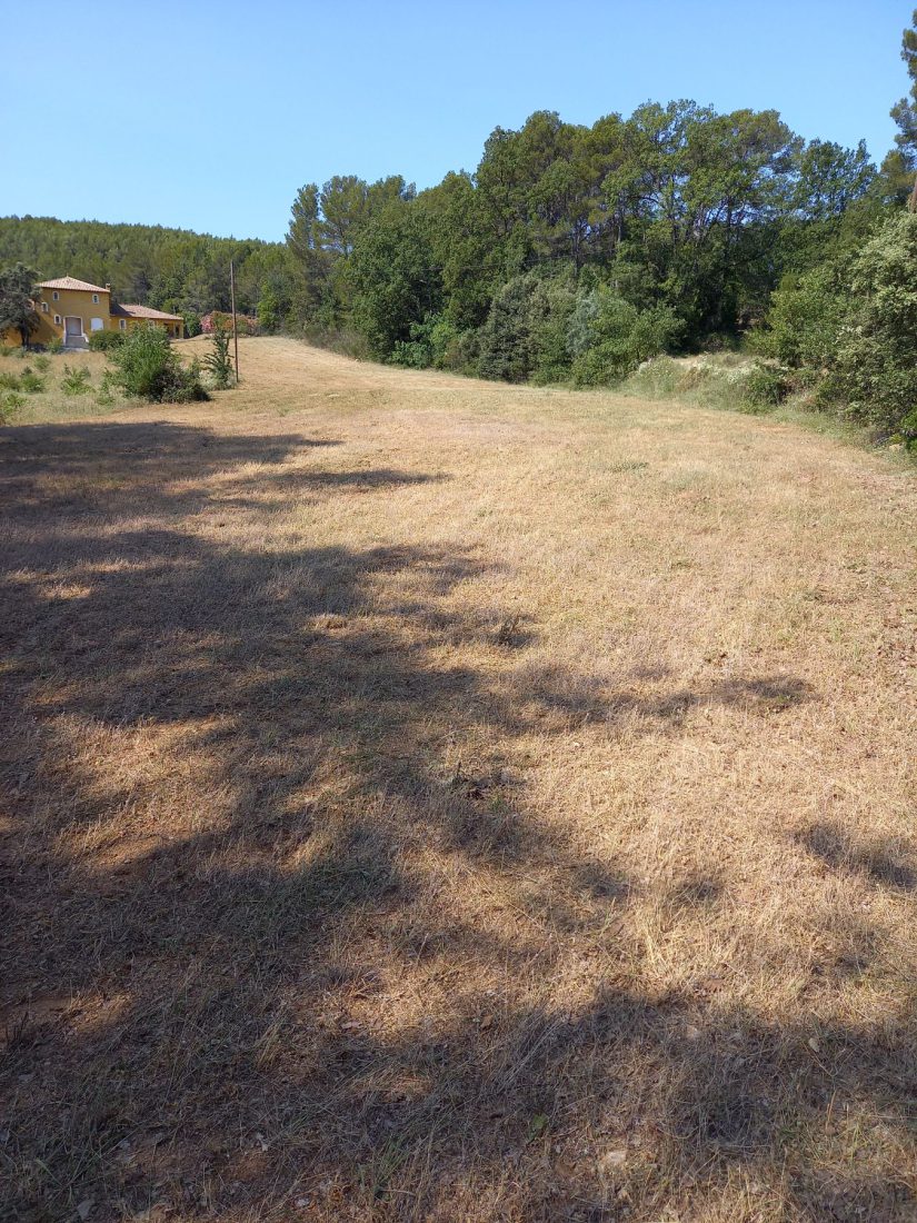 Débroussaillage — photo 4
