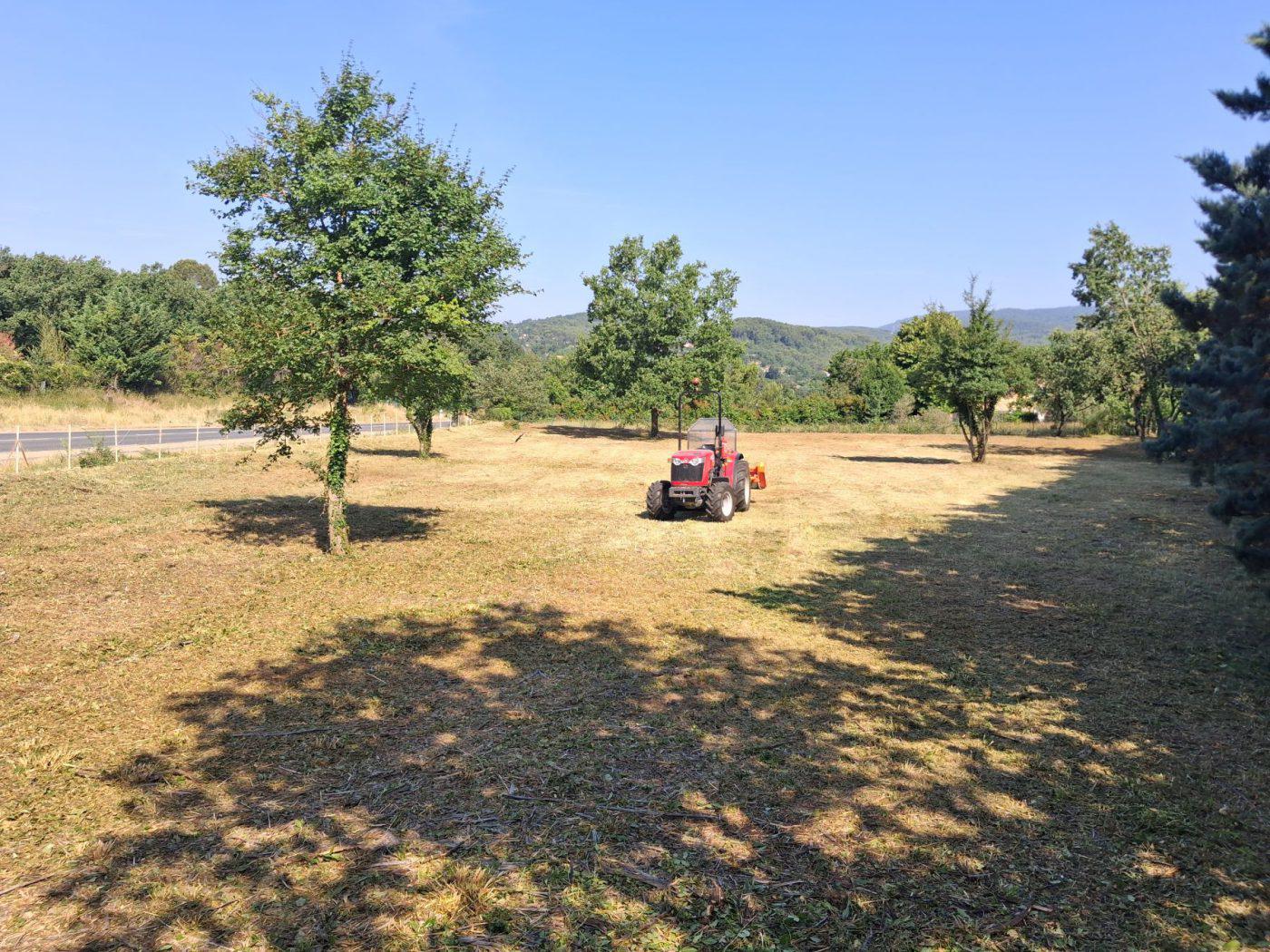 Débroussaillage — photo 11