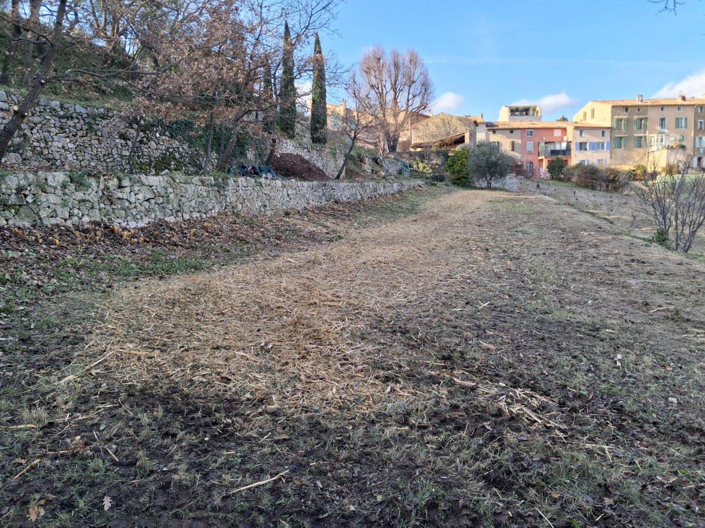 Débroussaillage — photo 14