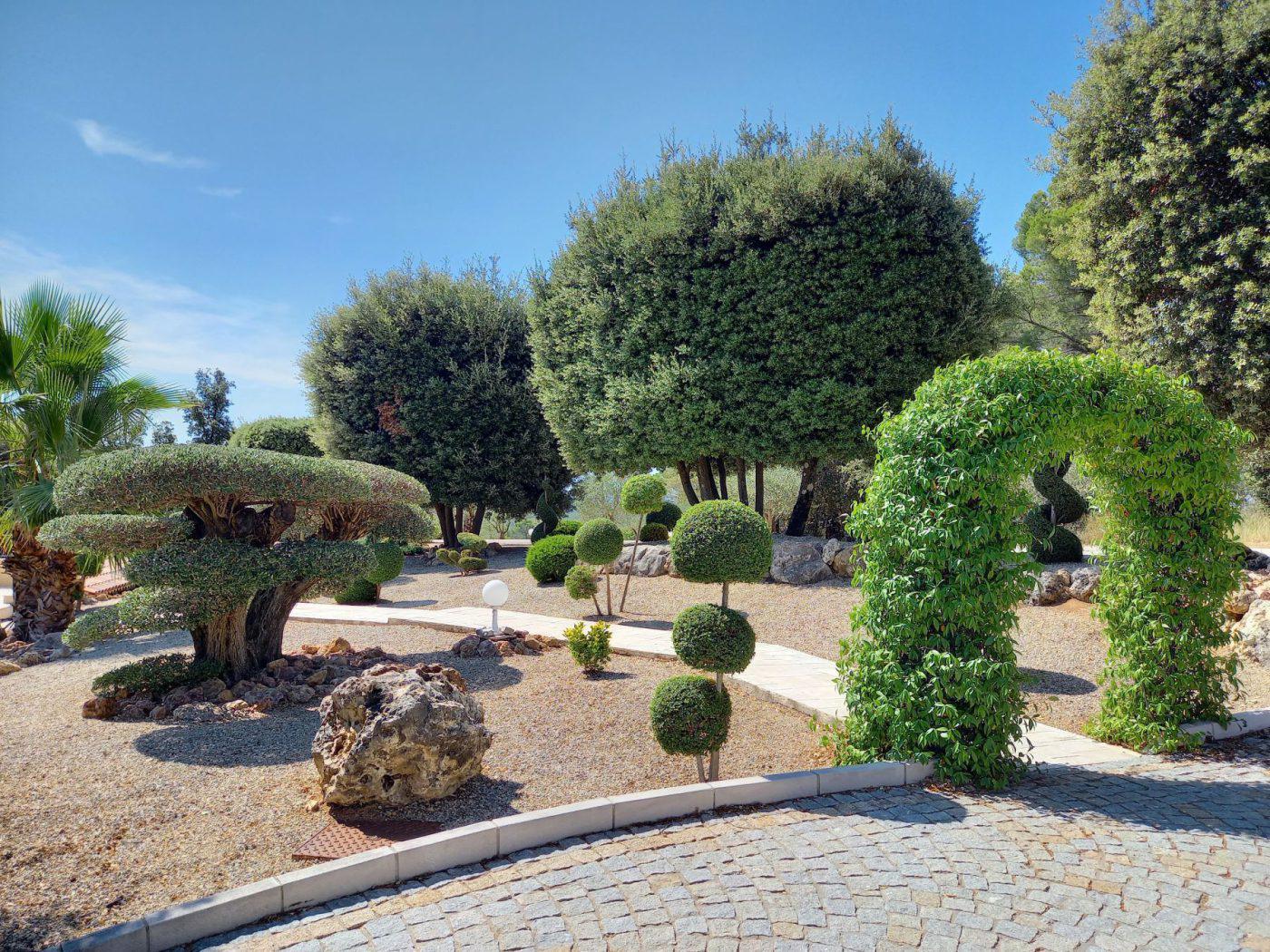 Entretien de jardins — photo 4
