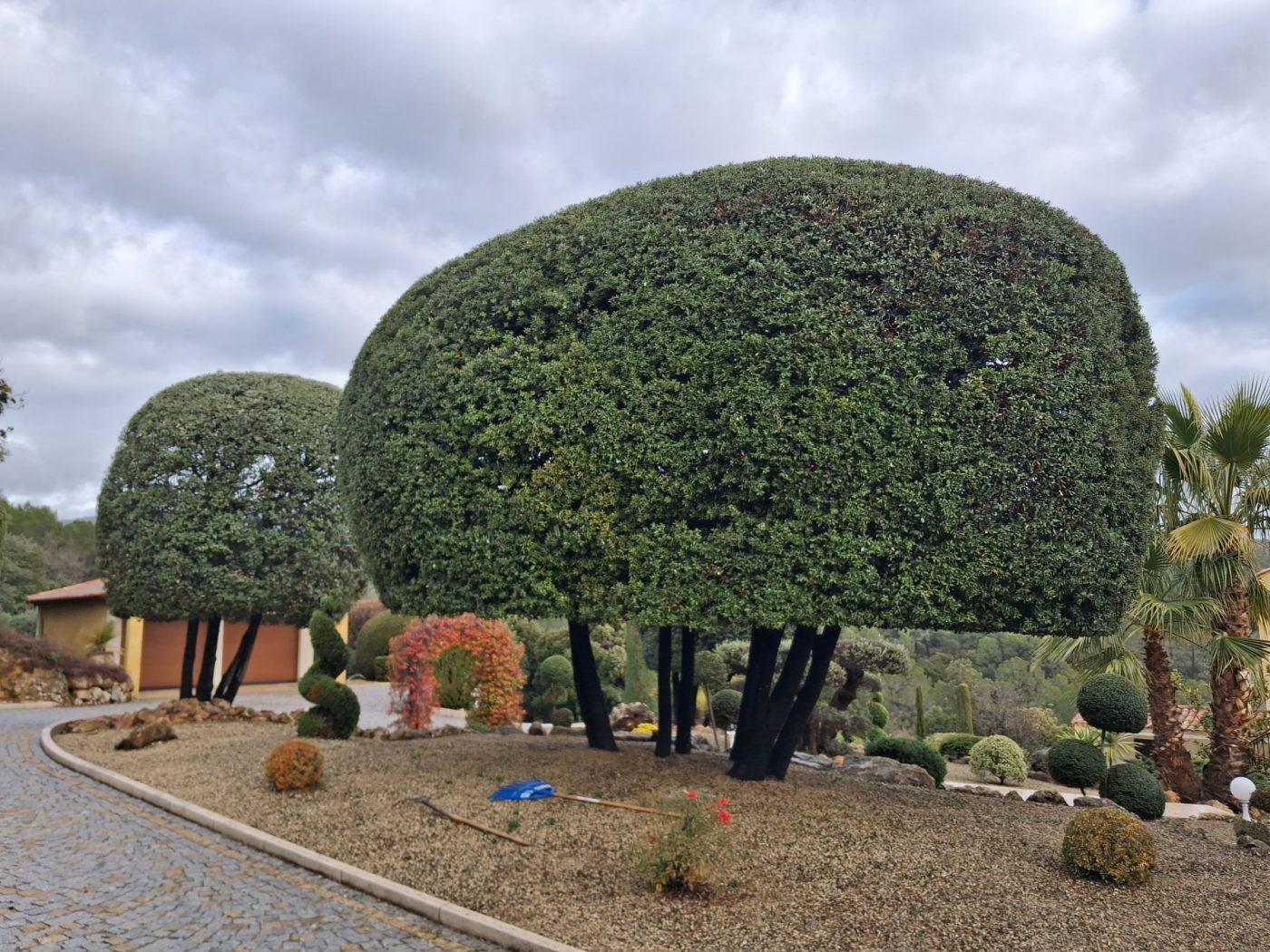 Entretien de jardins — photo 8