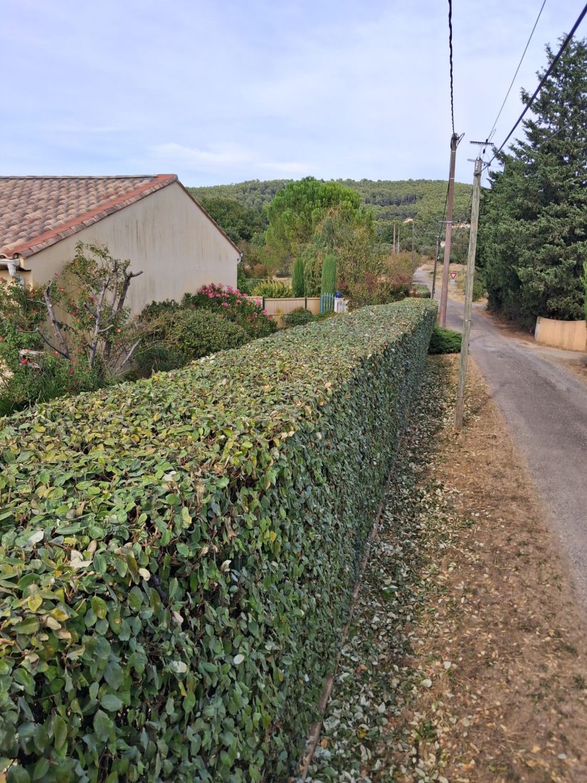 Entretien de jardins — photo 11