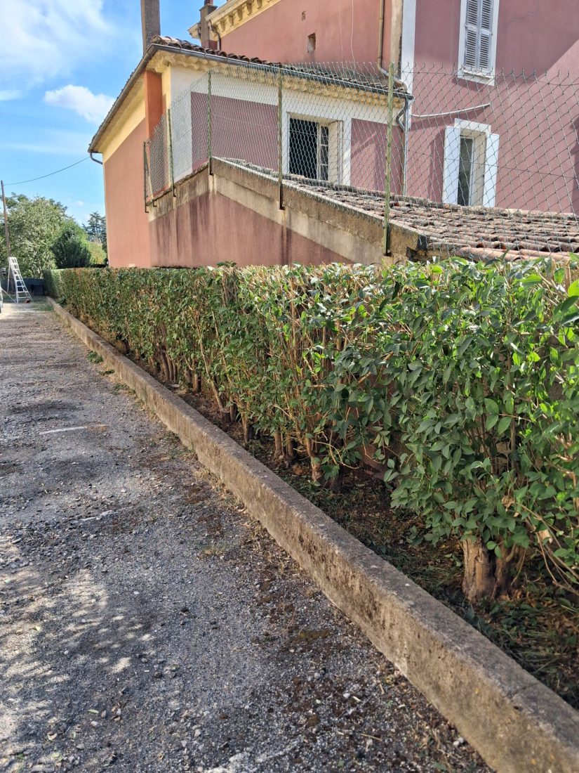 Entretien de jardins — photo 12