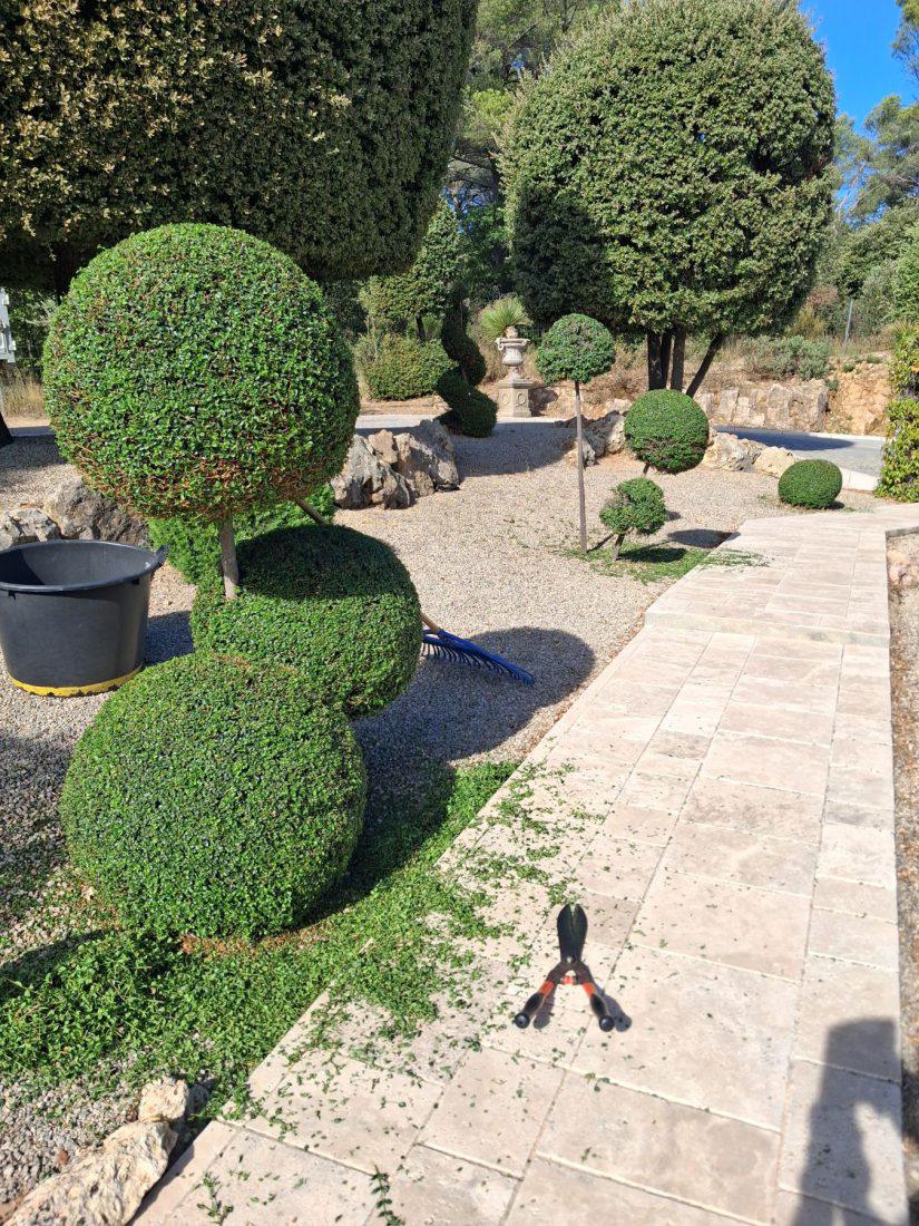 Entretien de jardins — photo 13