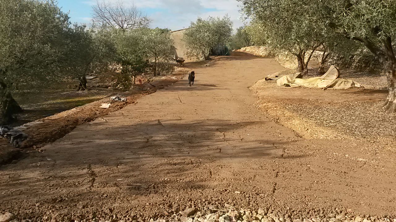 Terrassement